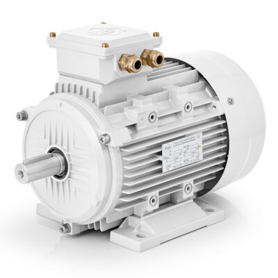 Elektromotor 3 kW 1AL-100L2-4