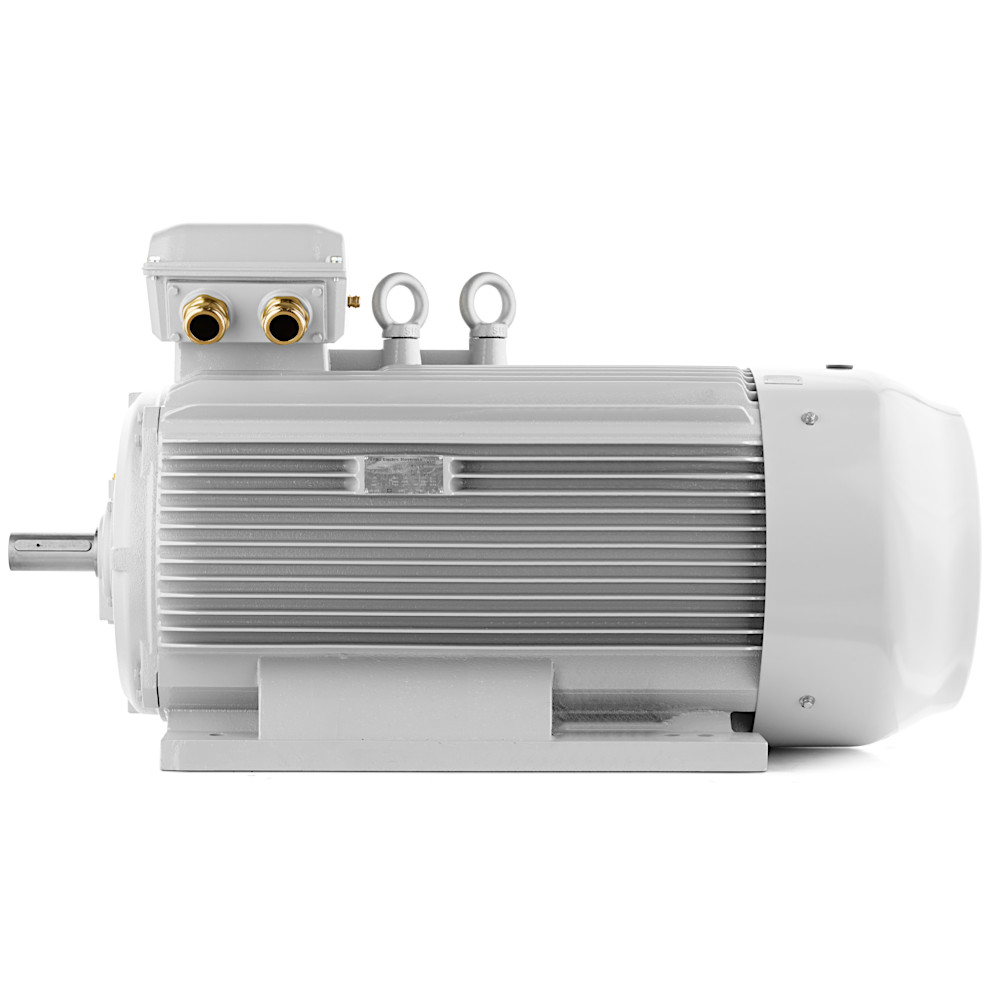 Driefasige elektromotor 4LC-355LX2B-8, 355 kW, 740 tpm, 400V/690V, IC411, IP55, IE4