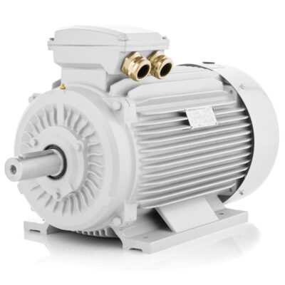 Elektromotor IE5 efficiëntie-5LC-200L1-6, 18,5 kW, 400 V, 990 tpm